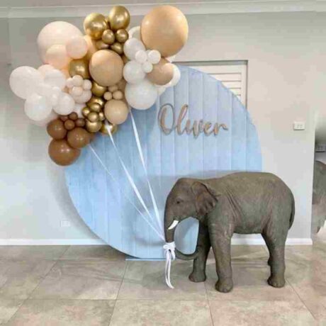 Light Blue Velvet Backdrop and Enzo the Elephant Statue Party Hire